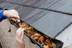 Why Cleaning Gutters and Downspouts Is a Crucial Part of Home Maintenance