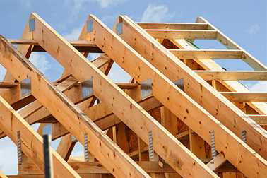the asphalt shingles