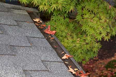 Gutter cleaning can serve as the only solution