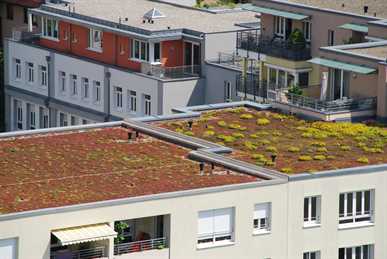 The Beauty of a Home with a Flat Roof -
