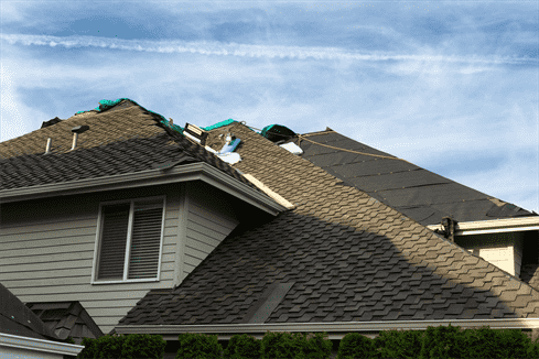 The Importance of Green Roof Shingles for Your Homes