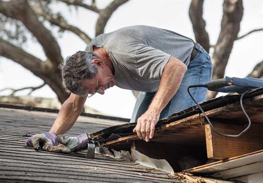 Roof shingles are now popular