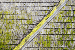 How to Avoid Algae from Stone Roof Shingles